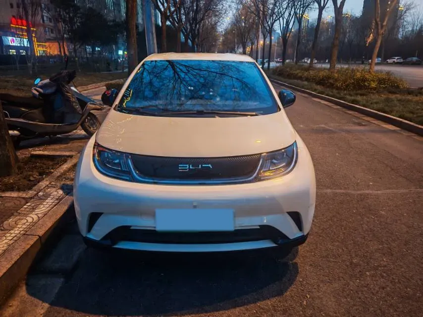 2025 BYD Dolphin BEV 44.928KWH,autocango,china used car exporter,china ev exporter,chinese used car exporter,chinese used ev exporter