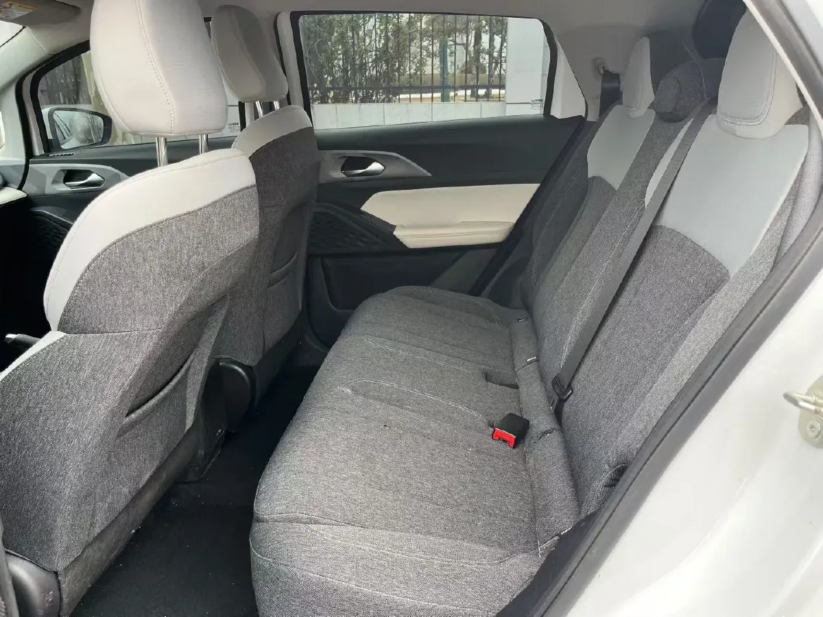 2024 Geometry E BEV 29.67KWH,autocango,china used car exporter,china ev exporter,chinese used car exporter,chinese used ev exporter