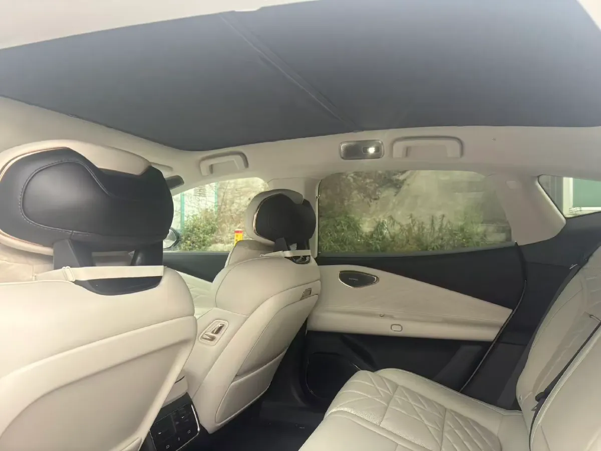 2025 LYNK&CO 10 EM-P 1.5T 163HP L4 3DHT PHEV,autocango,china used car exporter,china ev exporter,chinese used car exporter,chinese used ev exporter