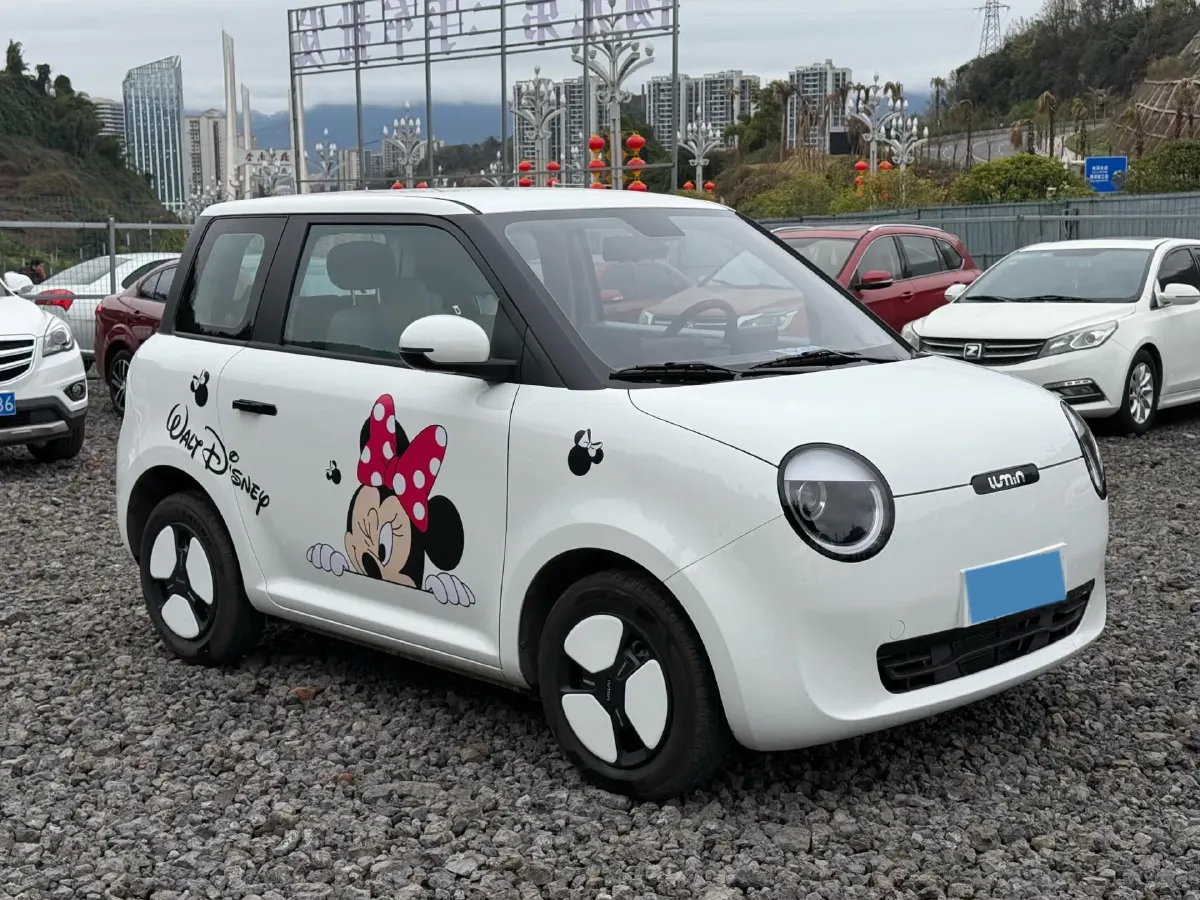 2024 ChangAn QiYuan Lumin BEV 13.41KWH,autocango,china used car exporter,china ev exporter,chinese used car exporter,chinese used ev exporter