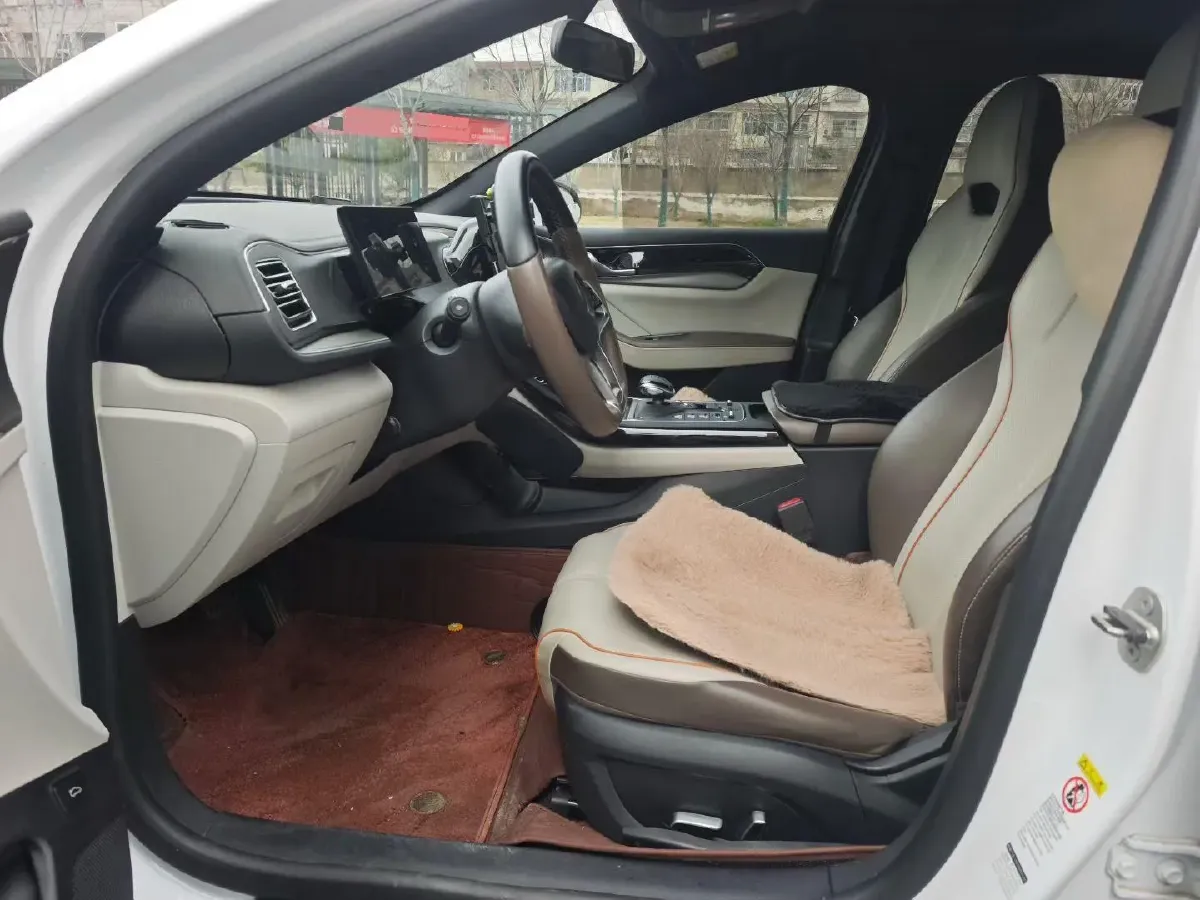 2023 BYD Qin Plus BEV 57.6KWH,autocango,china used car exporter,china ev exporter,chinese used car exporter,chinese used ev exporter