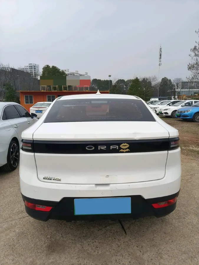 2019 Ora iQ BEV 47KWH,autocango,china used car exporter,china ev exporter,chinese used car exporter,chinese used ev exporter