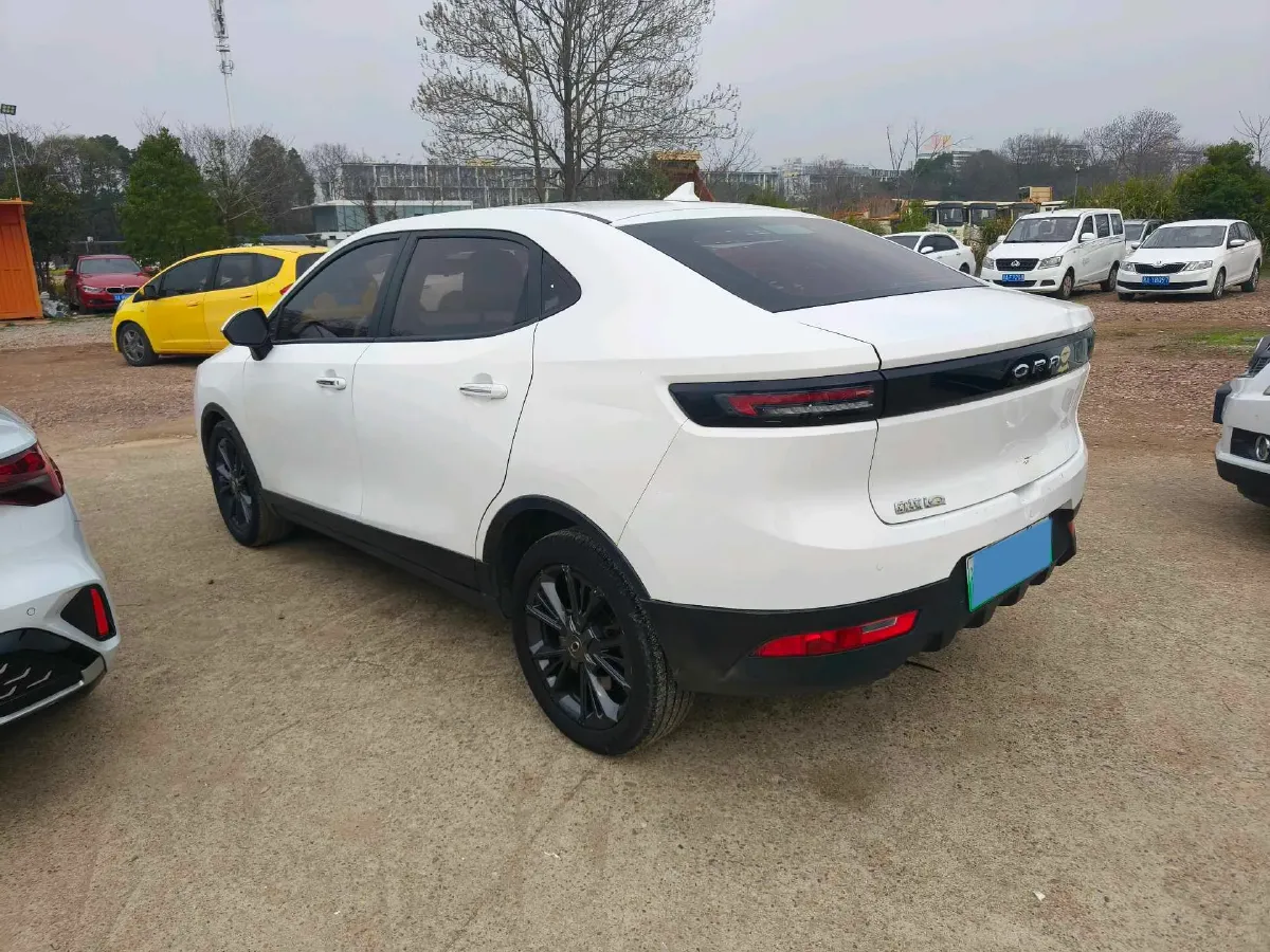 2019 Ora iQ BEV 47KWH,autocango,china used car exporter,china ev exporter,chinese used car exporter,chinese used ev exporter