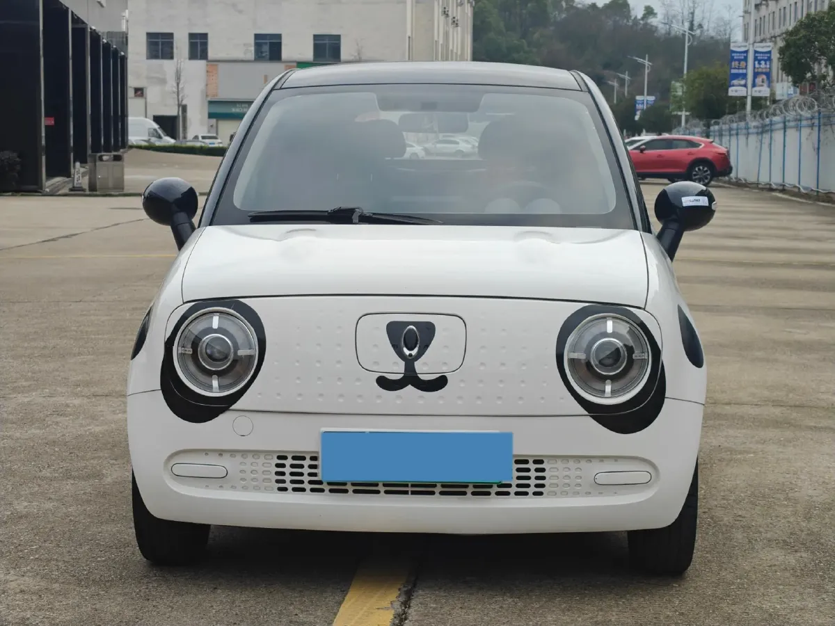 2021 Ora BlackCat BEV 28.5KWH,autocango,china used car exporter,china ev exporter,chinese used car exporter,chinese used ev exporter