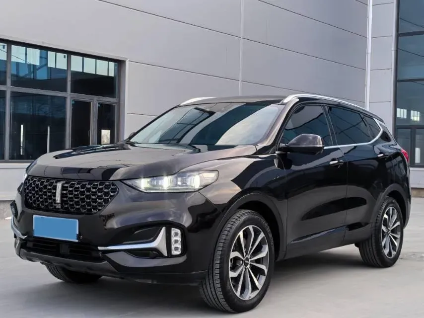 2021 WEY VV6 2.0T 227HP L4 7DCT,autocango,china used car exporter,china ev exporter,chinese used car exporter,chinese used ev exporter