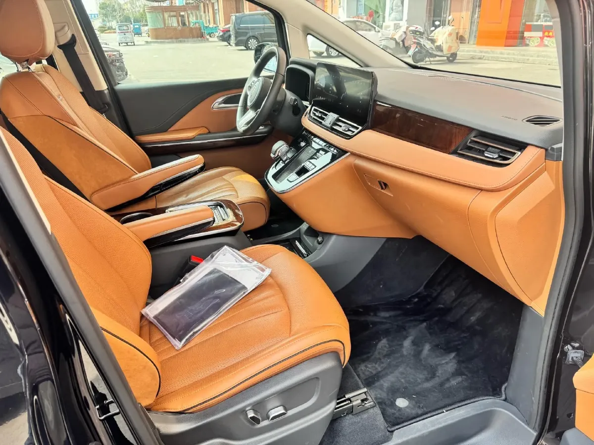 2024 HongQi HQ9 2.0T 163HP L4 1DHT PHEV 20.14KWH,autocango,china used car exporter,china ev exporter,chinese used car exporter,chinese used ev exporter