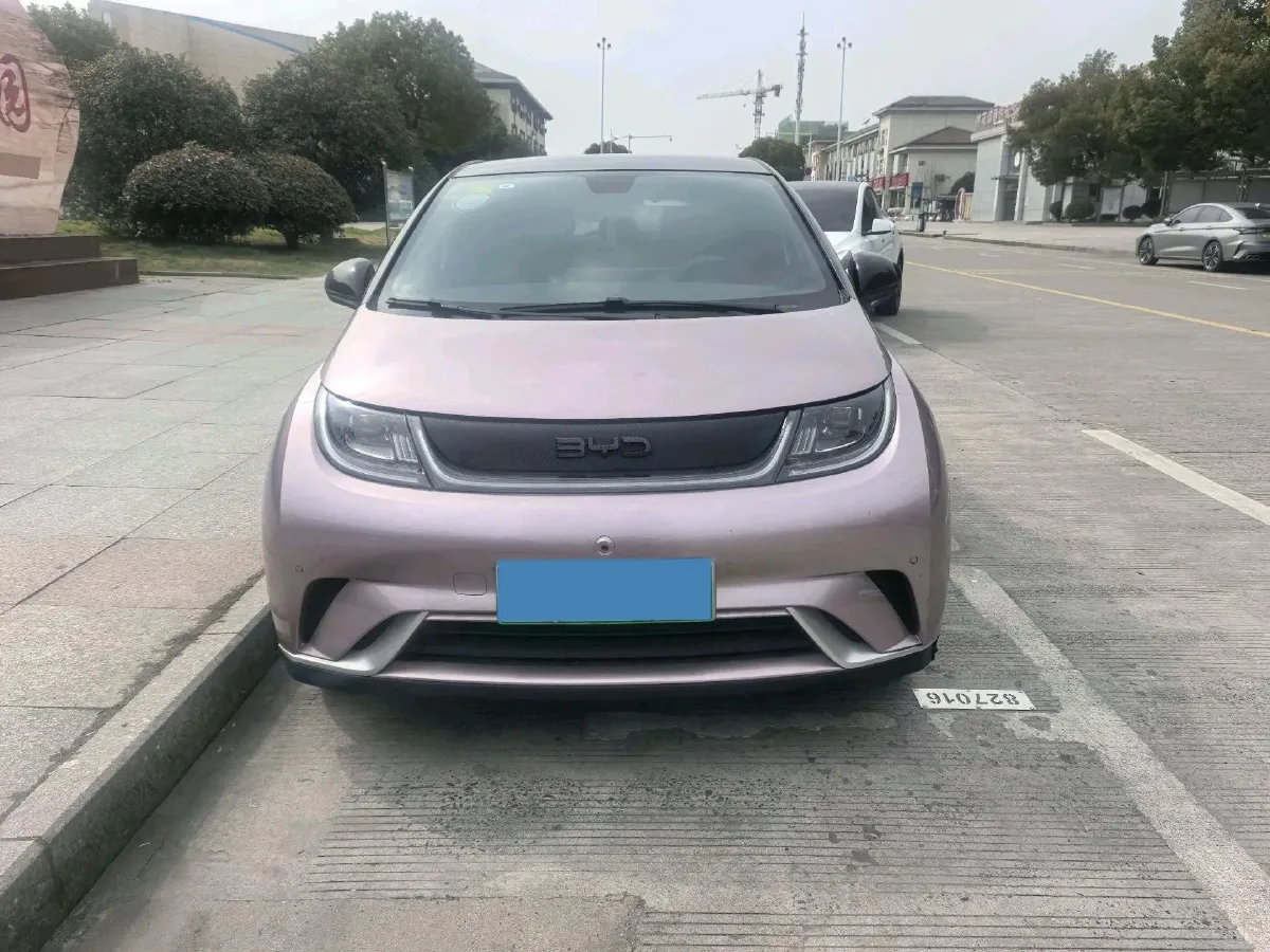 2024 BYD Dolphin BEV 44.928KWH,autocango,china used car exporter,china ev exporter,chinese used car exporter,chinese used ev exporter