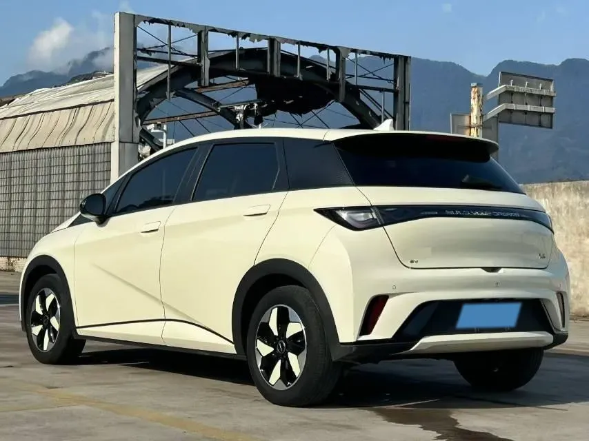 2025 BYD Dolphin BEV 44.928KWH,autocango,china used car exporter,china ev exporter,chinese used car exporter,chinese used ev exporter