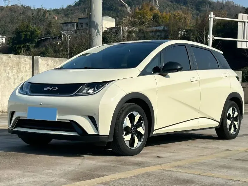 2025 BYD Dolphin BEV 44.928KWH,autocango,china used car exporter,china ev exporter,chinese used car exporter,chinese used ev exporter