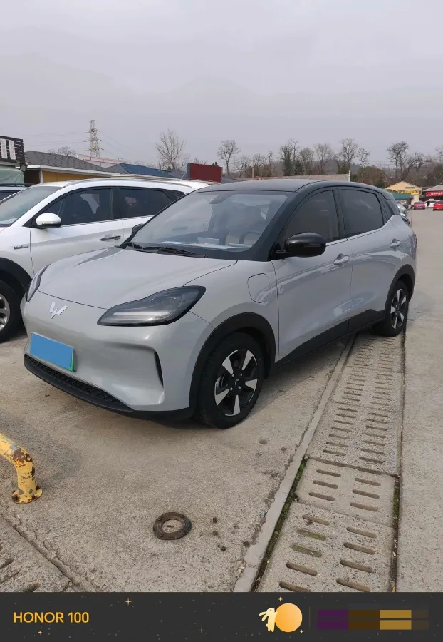 2024 WuLing BinGuoPLUS BEV 50.6KWH,autocango,china used car exporter,china ev exporter,chinese used car exporter,chinese used ev exporter