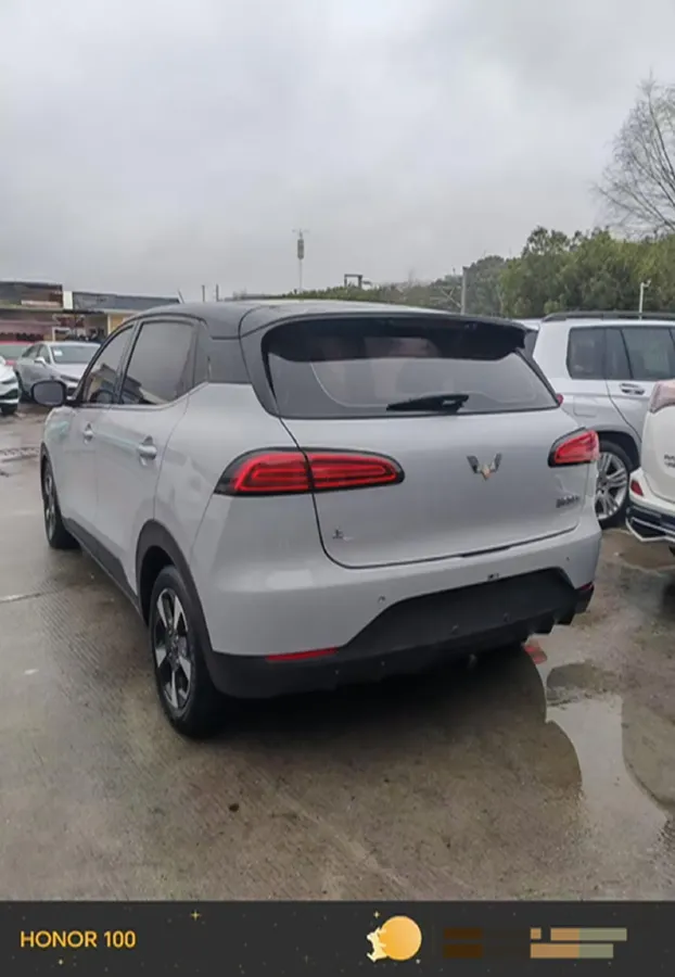 2024 WuLing BinGuoPLUS BEV 50.6KWH,autocango,china used car exporter,china ev exporter,chinese used car exporter,chinese used ev exporter