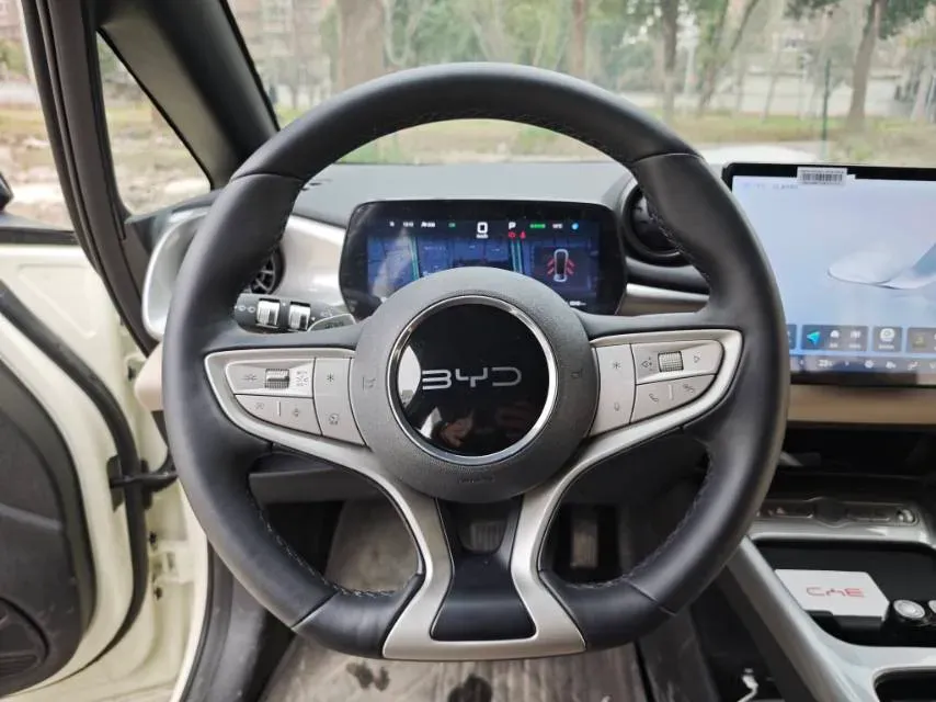 2025 BYD Dolphin BEV 45.12KWH,autocango,china used car exporter,china ev exporter,chinese used car exporter,chinese used ev exporter