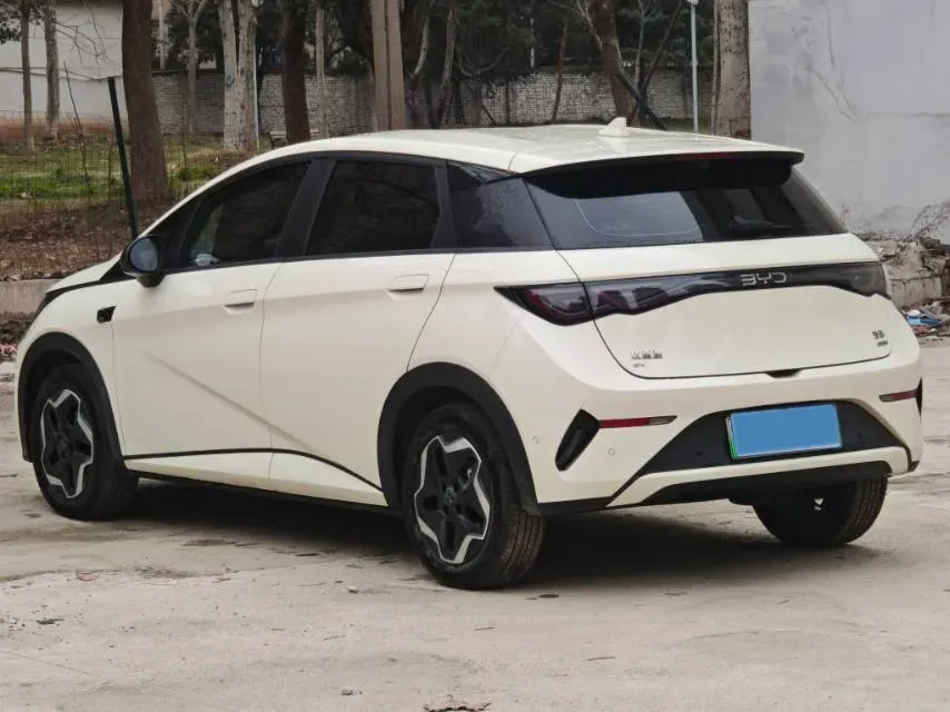 2025 BYD Dolphin BEV 45.12KWH,autocango,china used car exporter,china ev exporter,chinese used car exporter,chinese used ev exporter