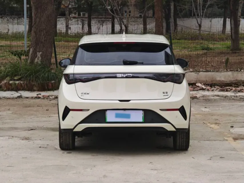 2025 BYD Dolphin BEV 45.12KWH,autocango,china used car exporter,china ev exporter,chinese used car exporter,chinese used ev exporter