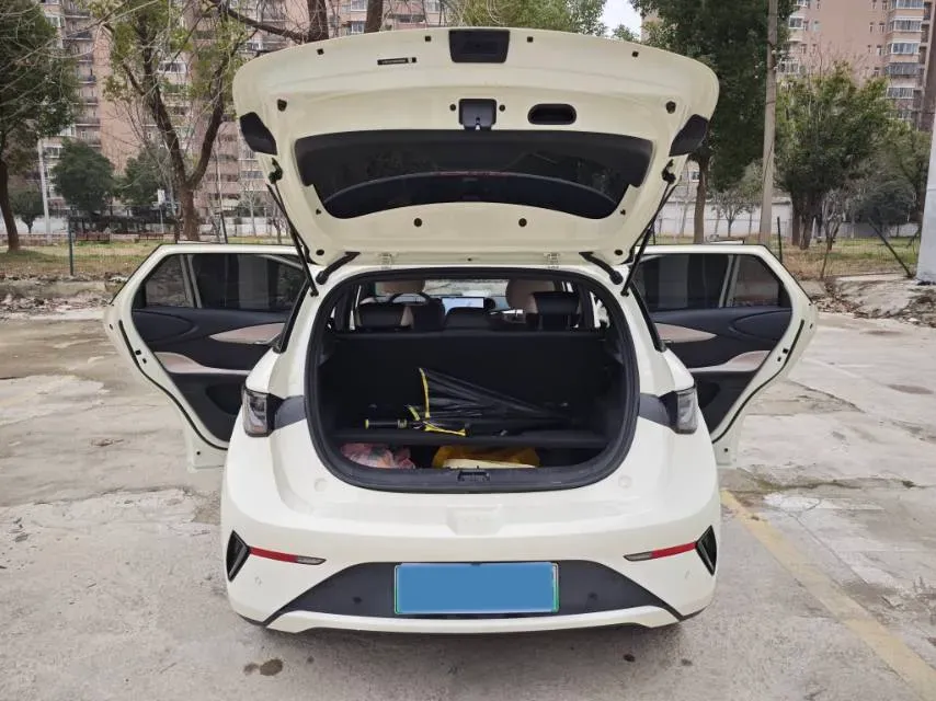 2025 BYD Dolphin BEV 45.12KWH,autocango,china used car exporter,china ev exporter,chinese used car exporter,chinese used ev exporter