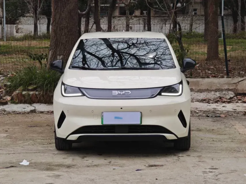 2025 BYD Dolphin BEV 45.12KWH,autocango,china used car exporter,china ev exporter,chinese used car exporter,chinese used ev exporter