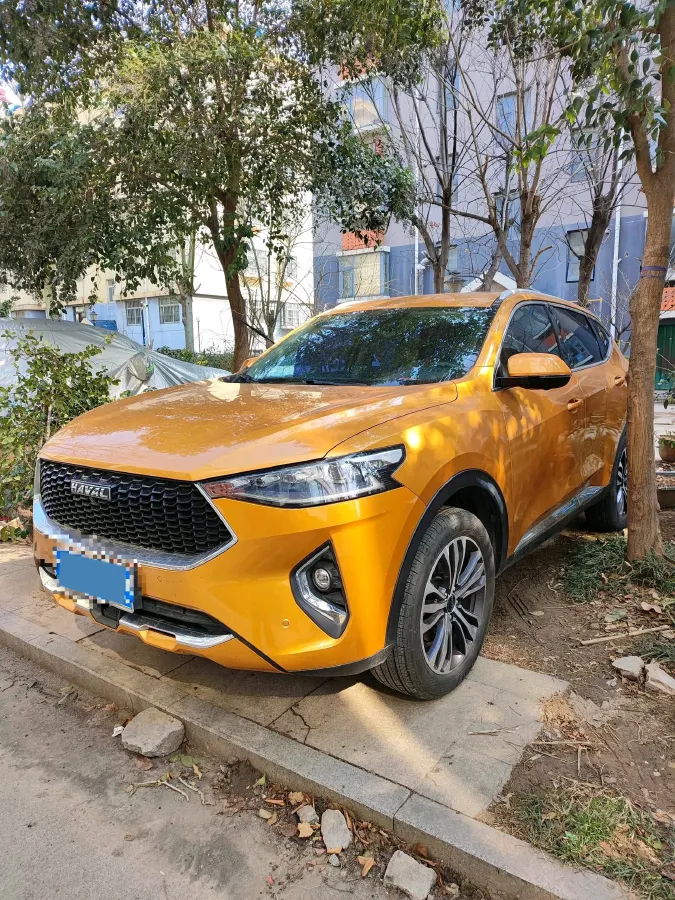2019 Haval F7x 2.0T 224HP L4 7DCT,autocango,china used car exporter,china ev exporter,chinese used car exporter,chinese used ev exporter