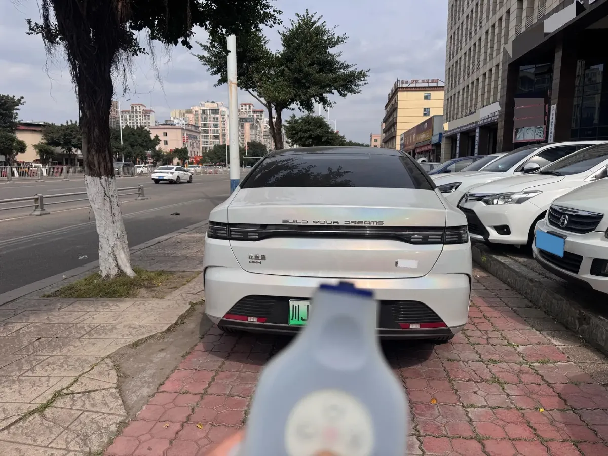 2024 BYD Destroyer 05 1.5L 110HP L4 E-CVT PHEV 8.3KWH,autocango,china used car exporter,china ev exporter,chinese used car exporter,chinese used ev exporter