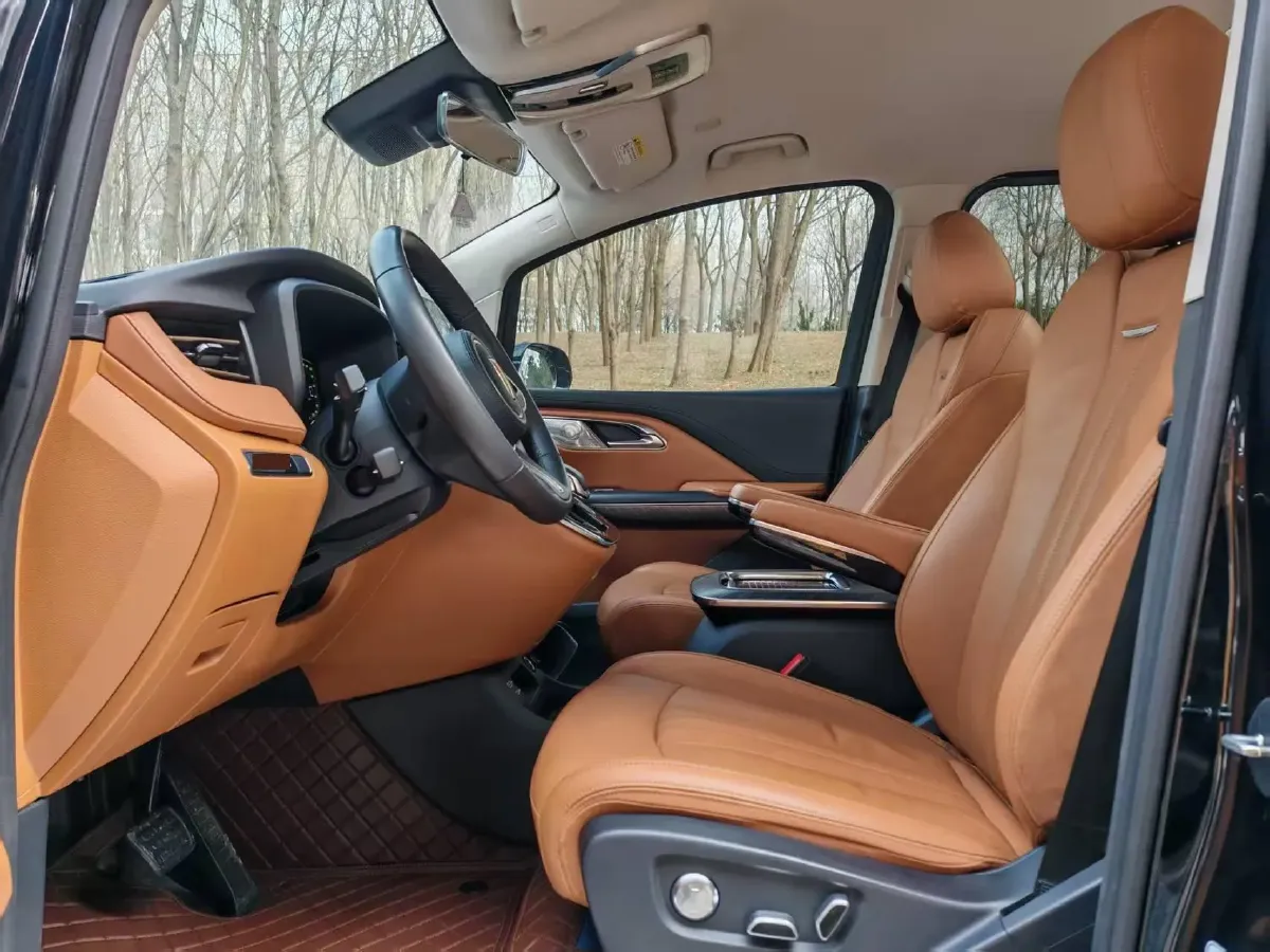 2023 HongQi HQ9 2.0T 252HP L4 8AT,autocango,china used car exporter,china ev exporter,chinese used car exporter,chinese used ev exporter