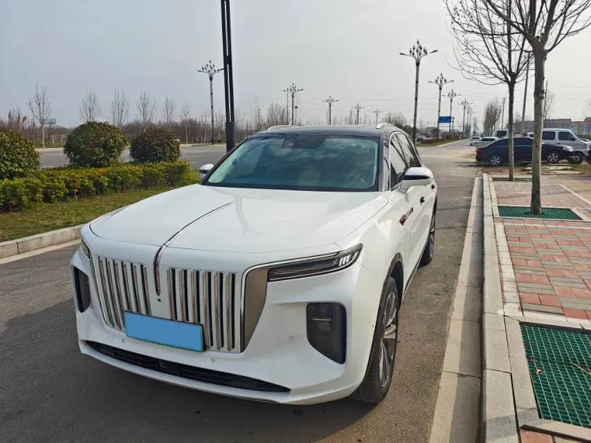 2021 HongQi E-HS9 BEV 84KWH,autocango,china used car exporter,china ev exporter,chinese used car exporter,chinese used ev exporter