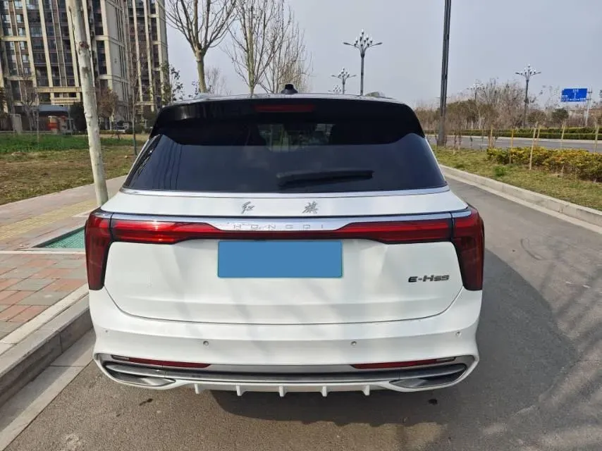 2021 HongQi E-HS9 BEV 84KWH,autocango,china used car exporter,china ev exporter,chinese used car exporter,chinese used ev exporter