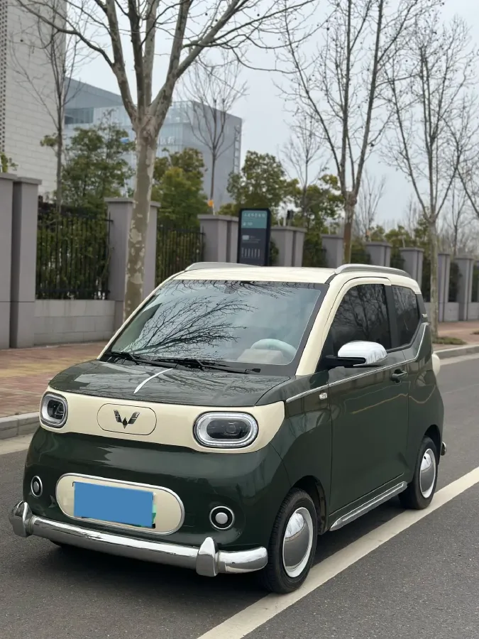 2024 WuLing HongGuang MINI EV BEV 17.3KWH,autocango,china used car exporter,china ev exporter,chinese used car exporter,chinese used ev exporter