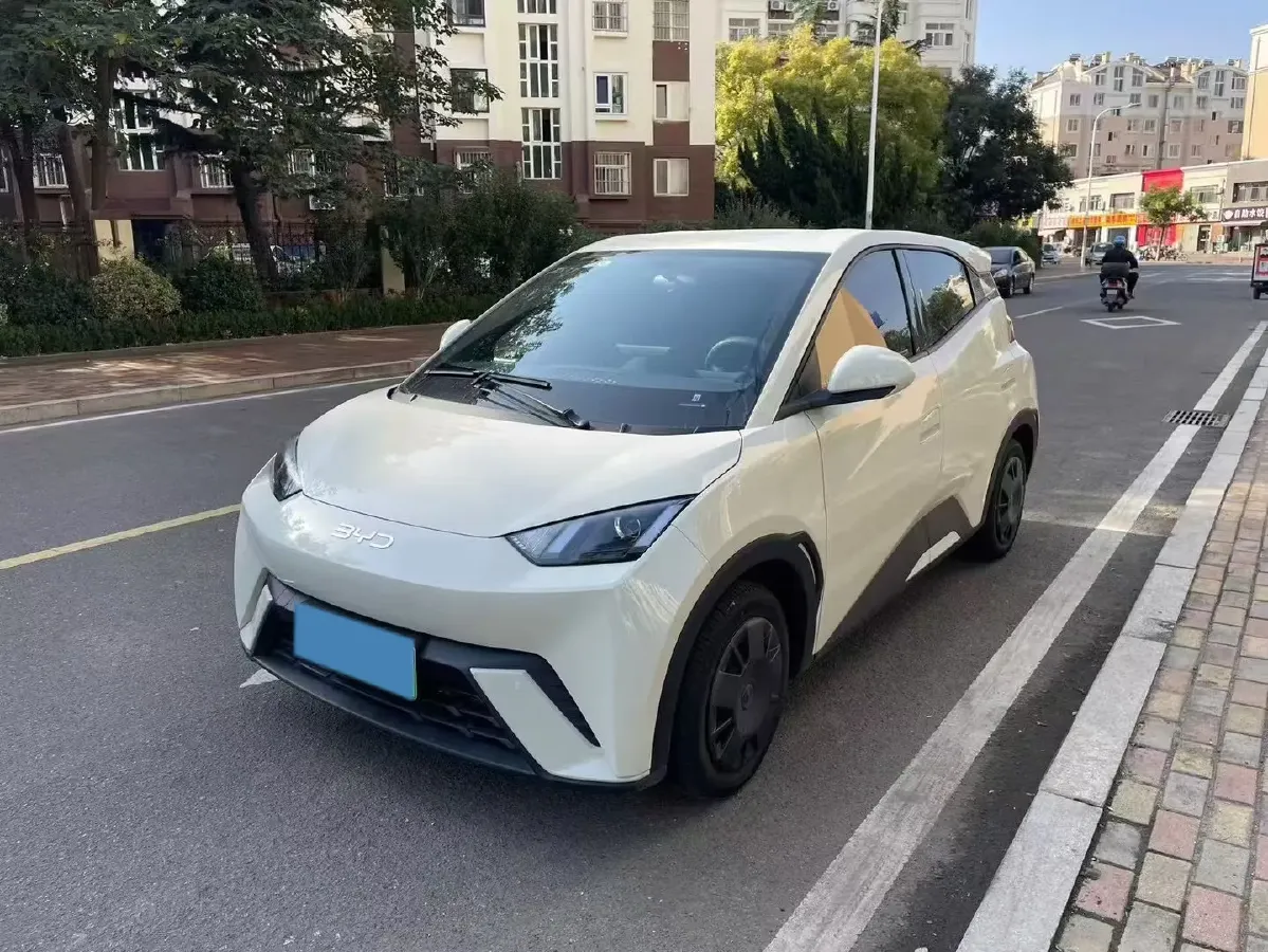 2025 BYD Seagull BEV 30.08KWH,autocango,china used car exporter,china ev exporter,chinese used car exporter,chinese used ev exporter