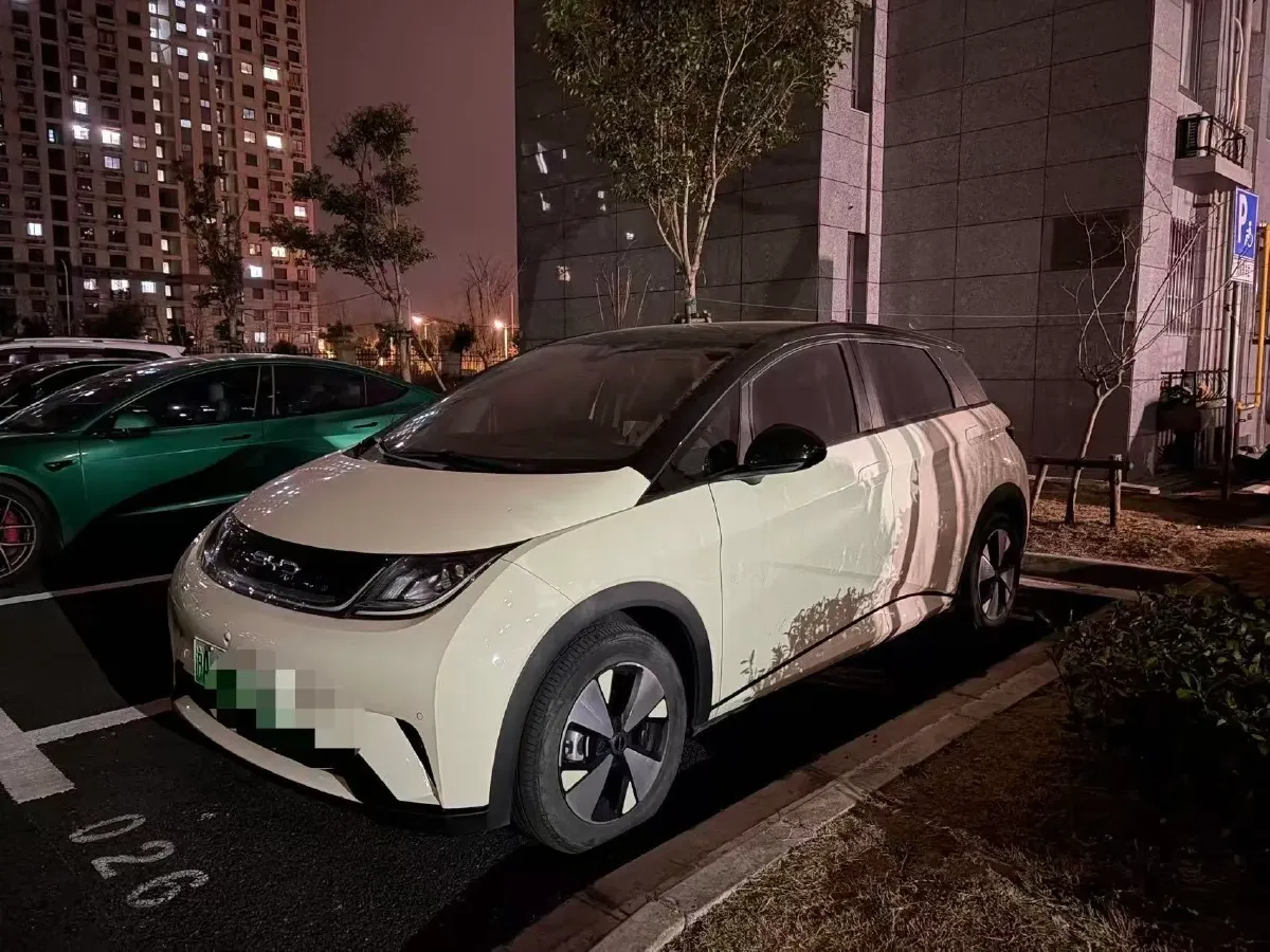 2023 BYD Dolphin BEV 44.928KWH,autocango,china used car exporter,china ev exporter,chinese used car exporter,chinese used ev exporter