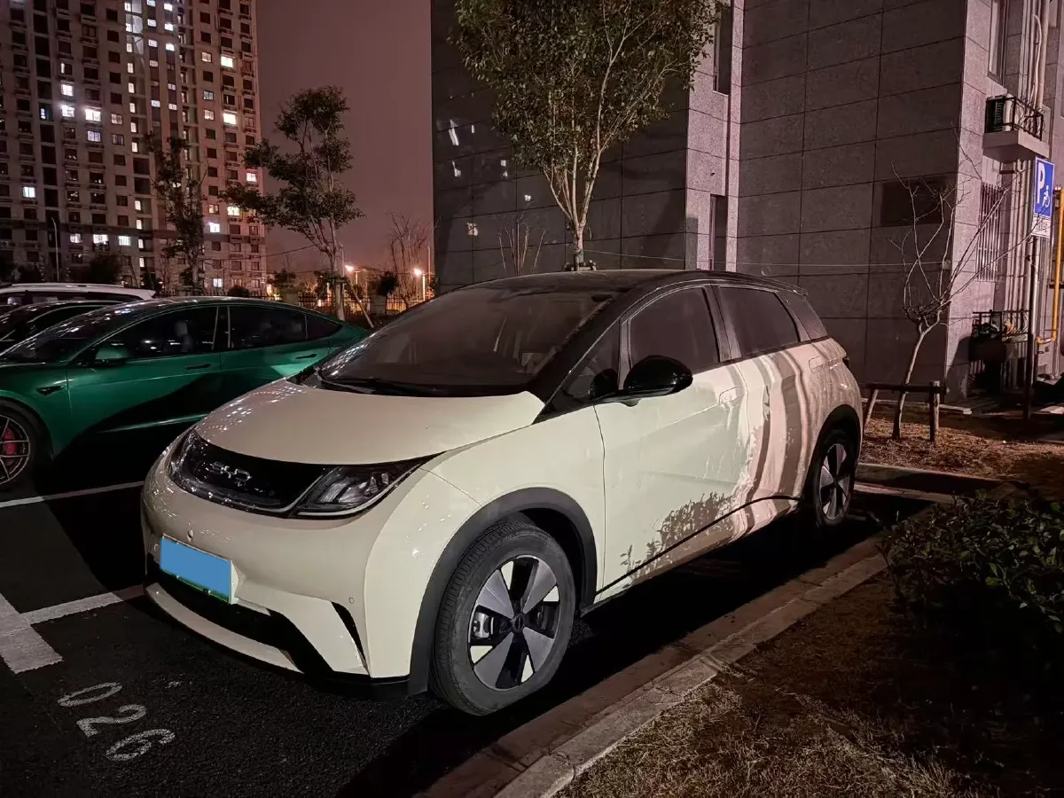 2023 BYD Dolphin BEV 44.928KWH,autocango,china used car exporter,china ev exporter,chinese used car exporter,chinese used ev exporter