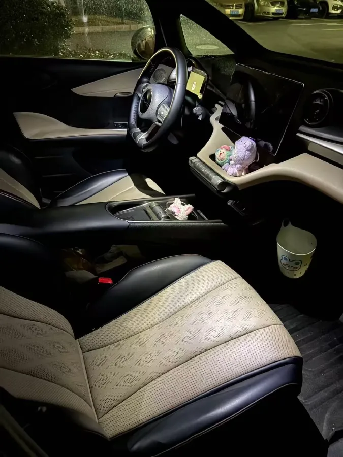 2023 BYD Dolphin BEV 44.928KWH,autocango,china used car exporter,china ev exporter,chinese used car exporter,chinese used ev exporter