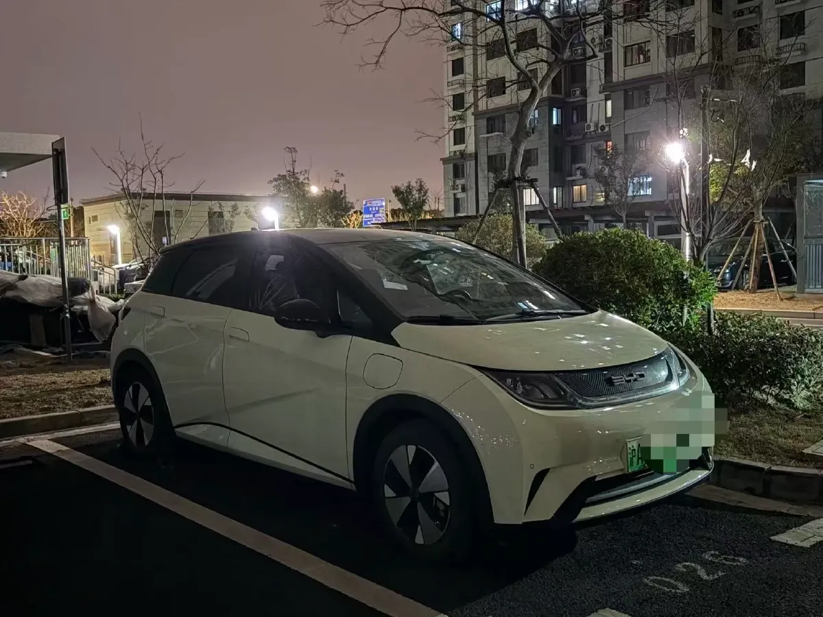 2023 BYD Dolphin BEV 44.928KWH,autocango,china used car exporter,china ev exporter,chinese used car exporter,chinese used ev exporter