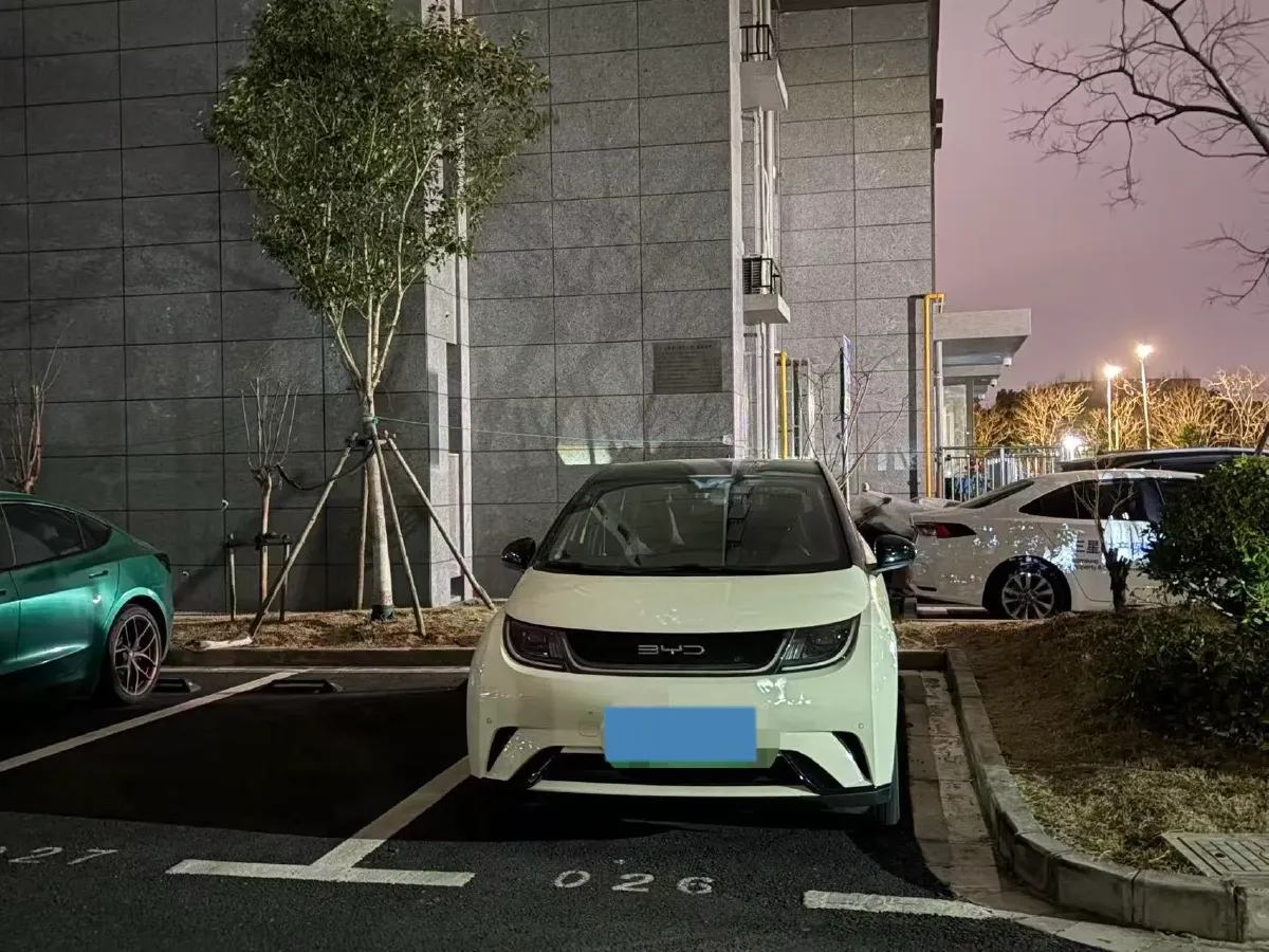 2023 BYD Dolphin BEV 44.928KWH,autocango,china used car exporter,china ev exporter,chinese used car exporter,chinese used ev exporter