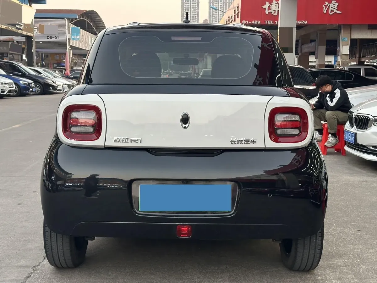 2019 Ora BlackCat BEV 33KWH,autocango,china used car exporter,china ev exporter,chinese used car exporter,chinese used ev exporter