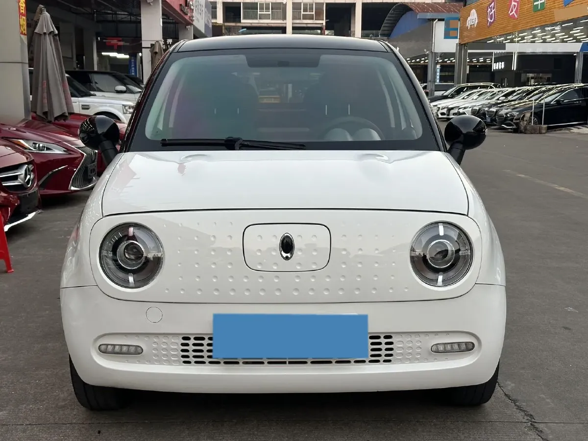 2019 Ora BlackCat BEV 33KWH,autocango,china used car exporter,china ev exporter,chinese used car exporter,chinese used ev exporter