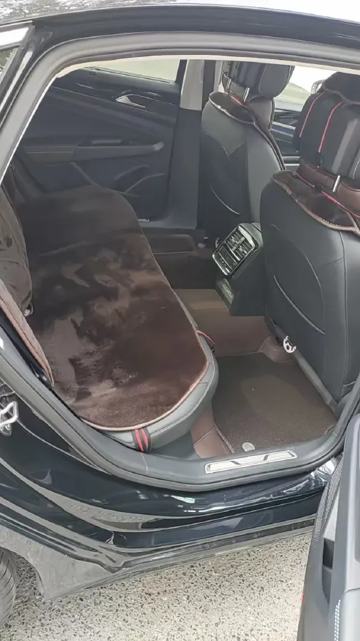 2024 Volkswagen Passat 2.0T 220HP L4 7DCT,autocango,china used car exporter,china ev exporter,chinese used car exporter,chinese used ev exporter