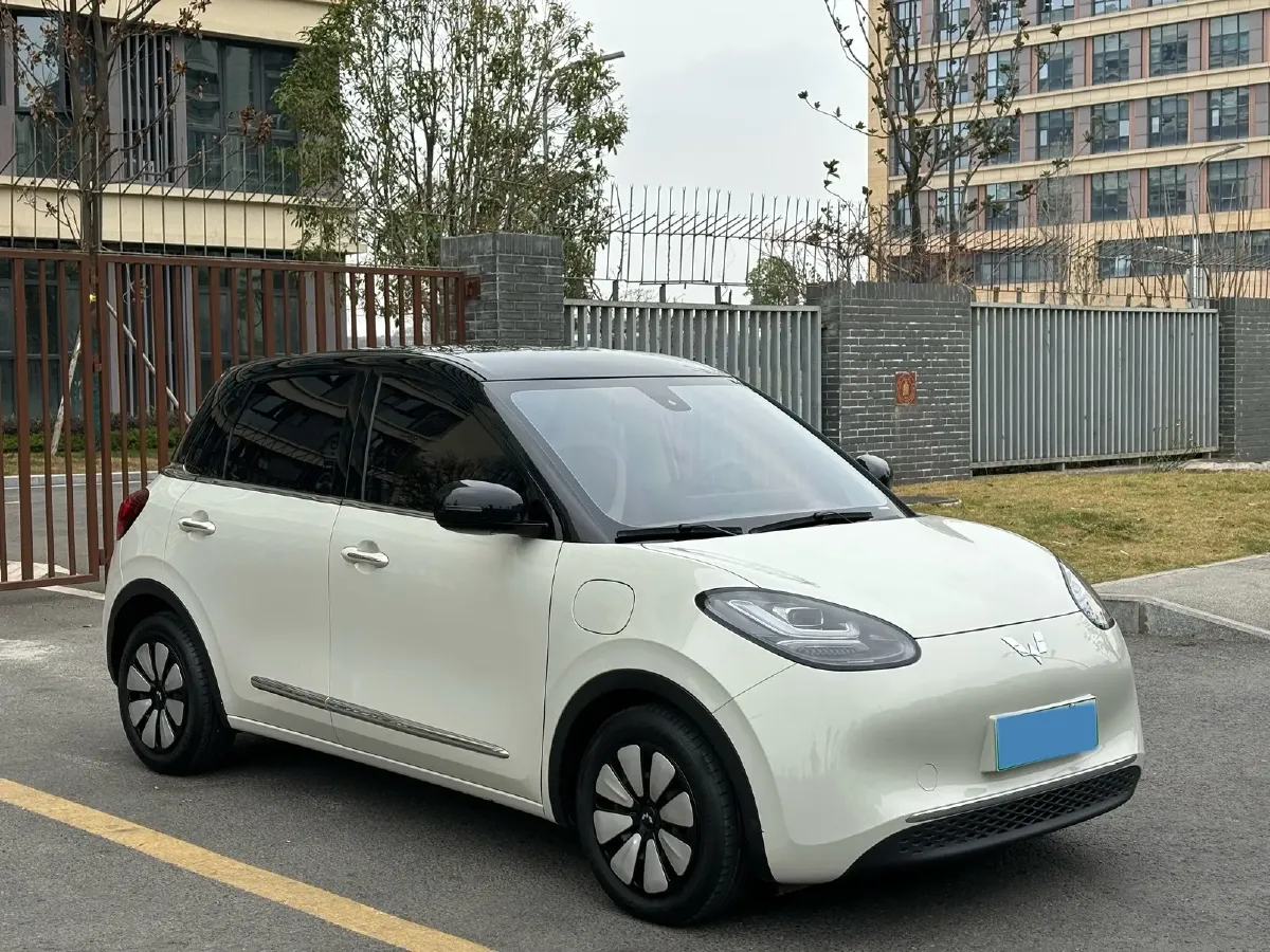 2023 WuLing BinGuo BEV 31.9KWH,autocango,china used car exporter,china ev exporter,chinese used car exporter,chinese used ev exporter