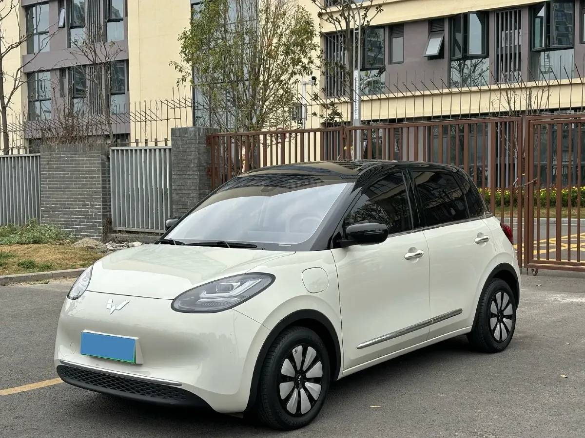 2023 WuLing BinGuo BEV 31.9KWH,autocango,china used car exporter,china ev exporter,chinese used car exporter,chinese used ev exporter