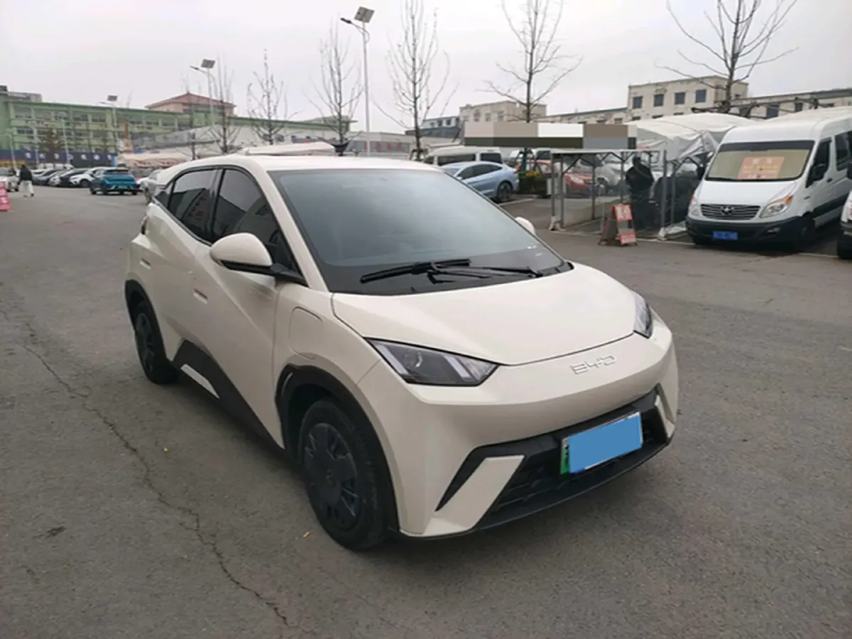 2024 BYD Seagull BEV 30.08KWH,autocango,china used car exporter,china ev exporter,chinese used car exporter,chinese used ev exporter