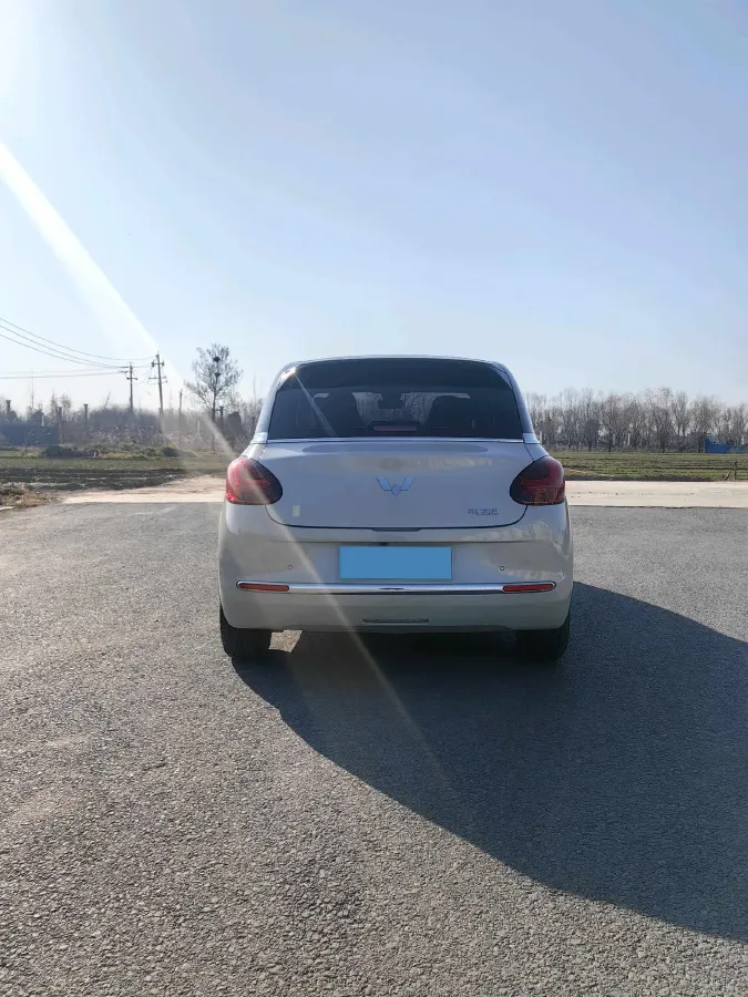 2023 WuLing BinGuo BEV 17.3KWH,autocango,china used car exporter,china ev exporter,chinese used car exporter,chinese used ev exporter