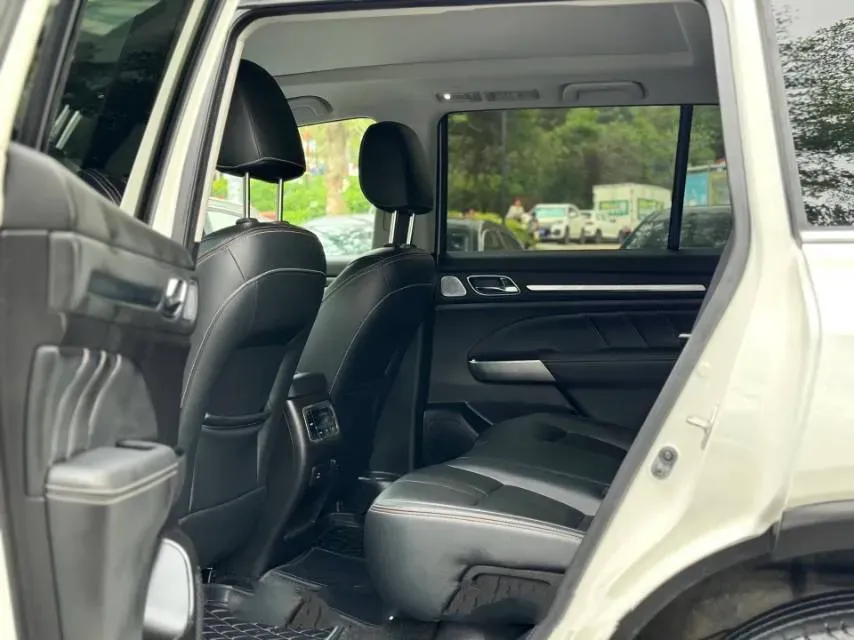 2020 GAC Trumpchi GS8 2.0T 252HP L4 6AT,autocango,china used car exporter,china ev exporter,chinese used car exporter,chinese used ev exporter