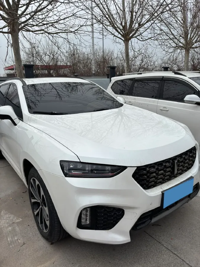2017 WEY VV7 2.0T 234HP L4 7DCT,autocango,china used car exporter,china ev exporter,chinese used car exporter,chinese used ev exporter