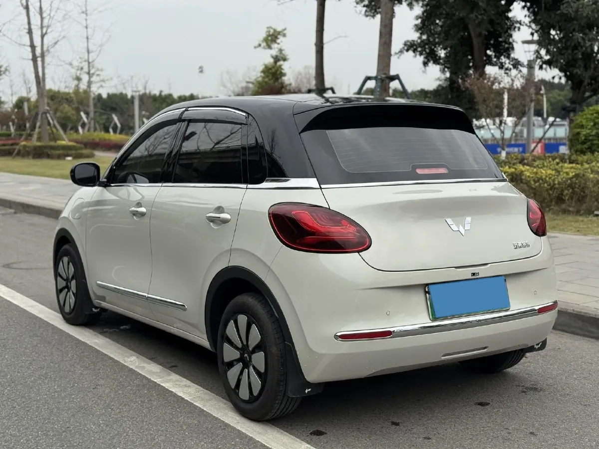 2023 WuLing BinGuo BEV 31.9KWH,autocango,china used car exporter,china ev exporter,chinese used car exporter,chinese used ev exporter