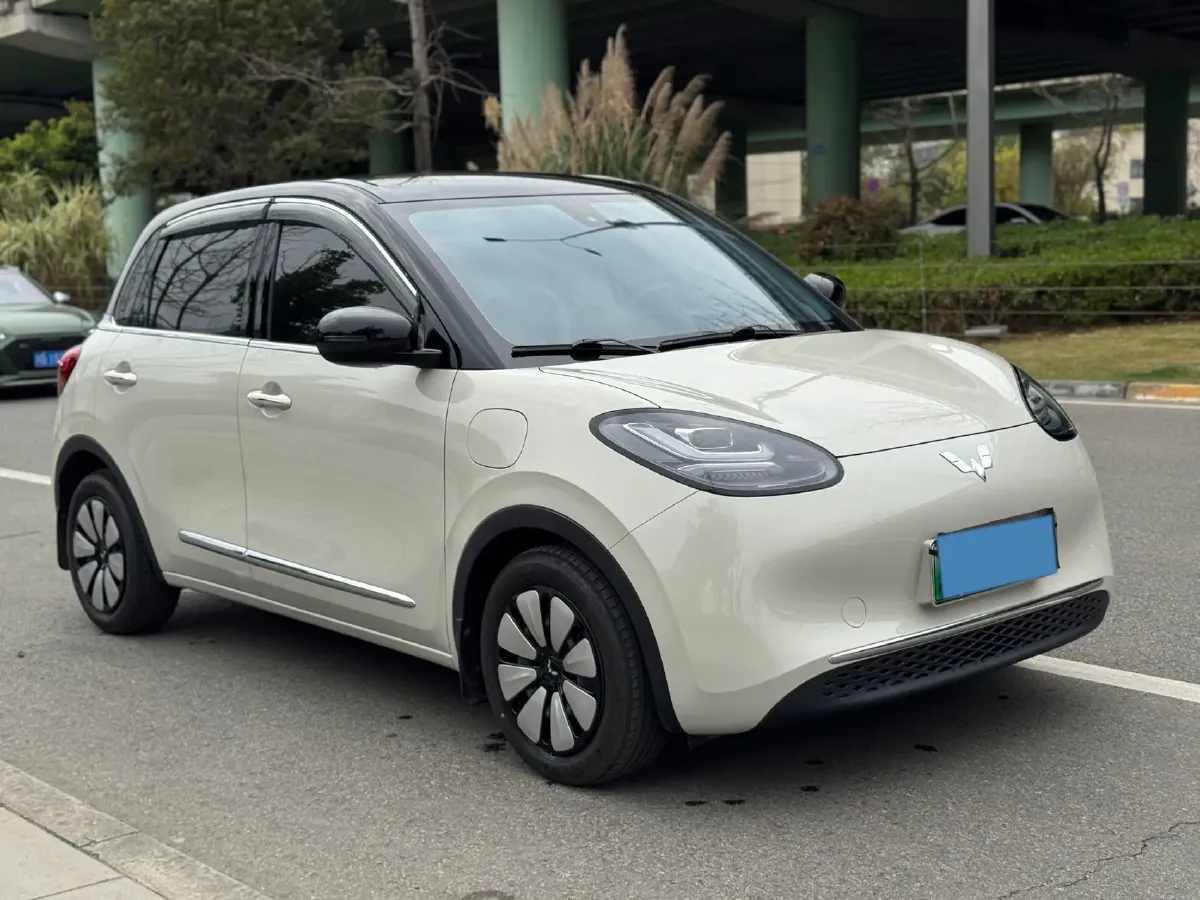 2023 WuLing BinGuo BEV 31.9KWH,autocango,china used car exporter,china ev exporter,chinese used car exporter,chinese used ev exporter