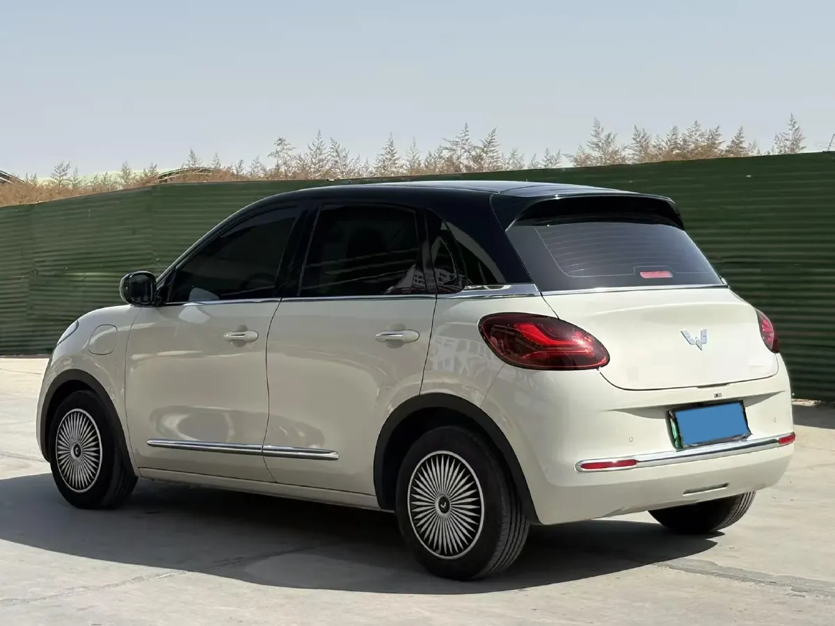 2023 WuLing BinGuo BEV 37.9KWH,autocango,china used car exporter,china ev exporter,chinese used car exporter,chinese used ev exporter