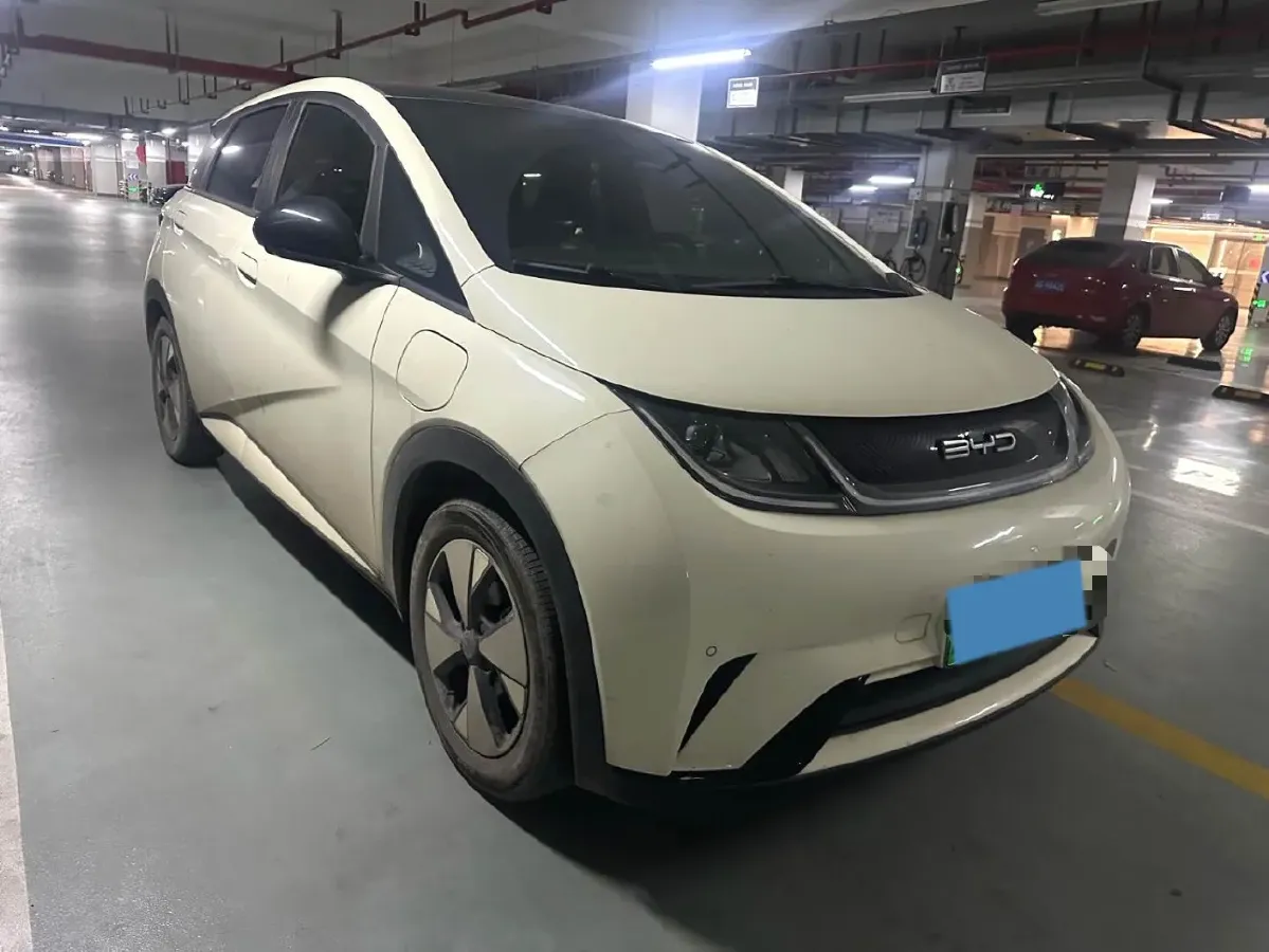 2023 BYD Dolphin BEV 44.928KWH,autocango,china used car exporter,china ev exporter,chinese used car exporter,chinese used ev exporter