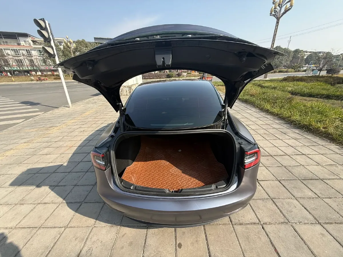 2021 Tesla Model 3 BEV 55KWH,autocango,china used car exporter,china ev exporter,chinese used car exporter,chinese used ev exporter
