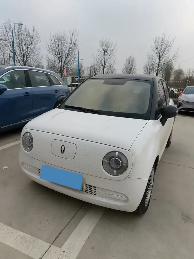 2022 Ora BlackCat BEV 30.3KWH,autocango,china used car exporter,china ev exporter,chinese used car exporter,chinese used ev exporter