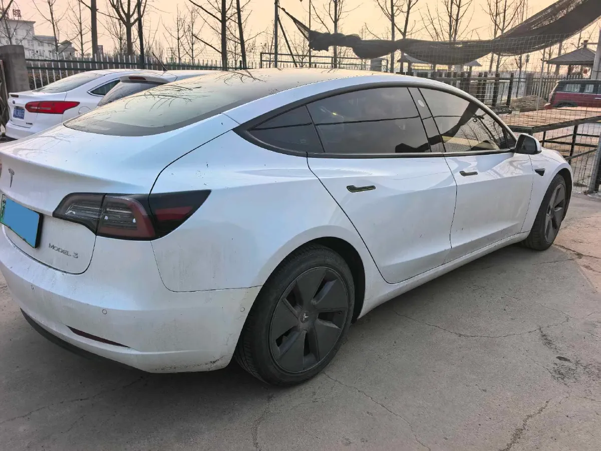 2021 Tesla Model 3 BEV 55KWH,autocango,china used car exporter,china ev exporter,chinese used car exporter,chinese used ev exporter