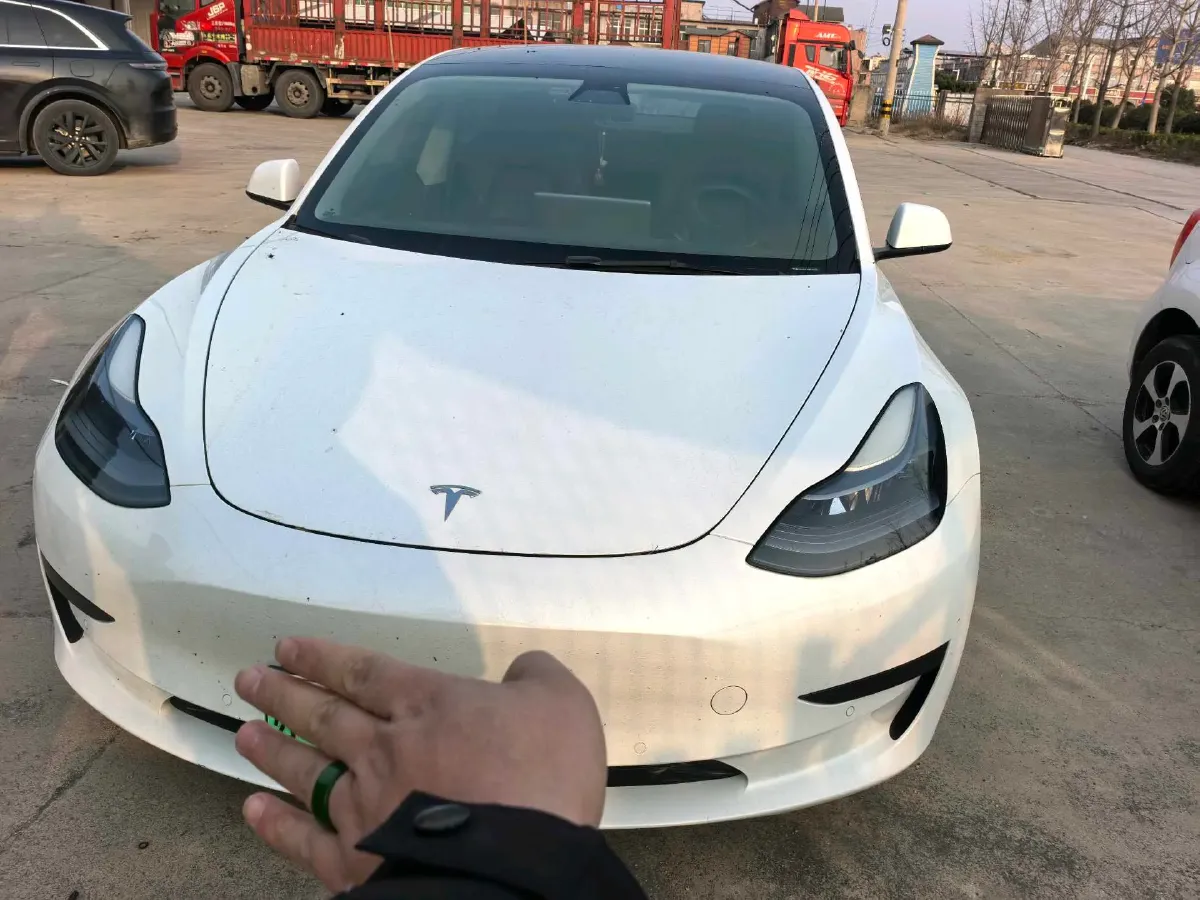 2021 Tesla Model 3 BEV 55KWH,autocango,china used car exporter,china ev exporter,chinese used car exporter,chinese used ev exporter