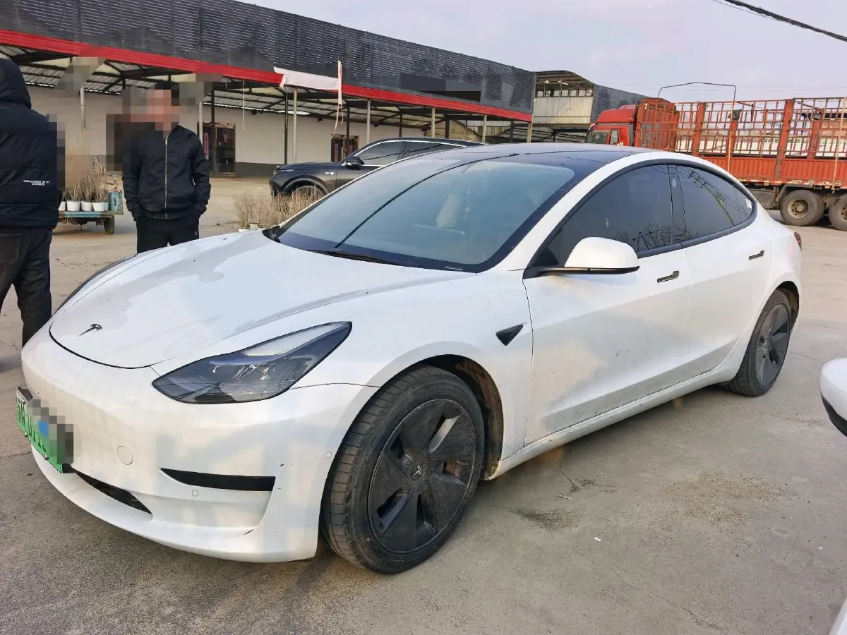 2021 Tesla Model 3 BEV 55KWH,autocango,china used car exporter,china ev exporter,chinese used car exporter,chinese used ev exporter